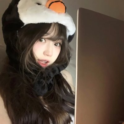 总统班底