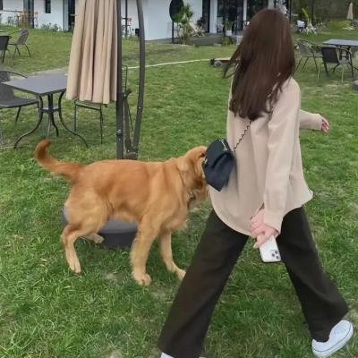 性在够辣