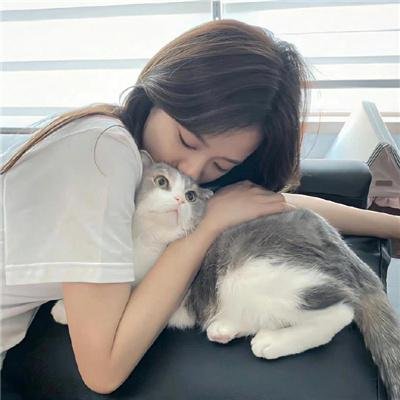 杀手的童话